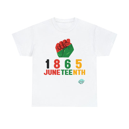 DCAL Juneteenth "1865 Fist" Unisex Heavy Cotton Tee