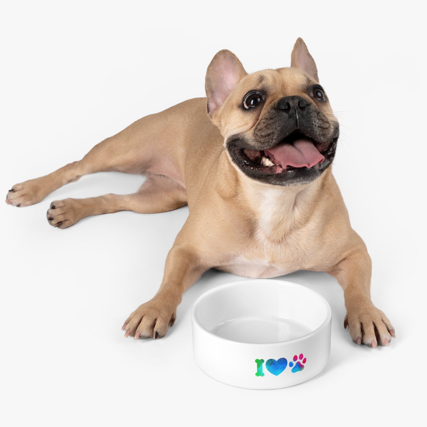 DCAL Paws and Posh " Colorful" Pet Bowl