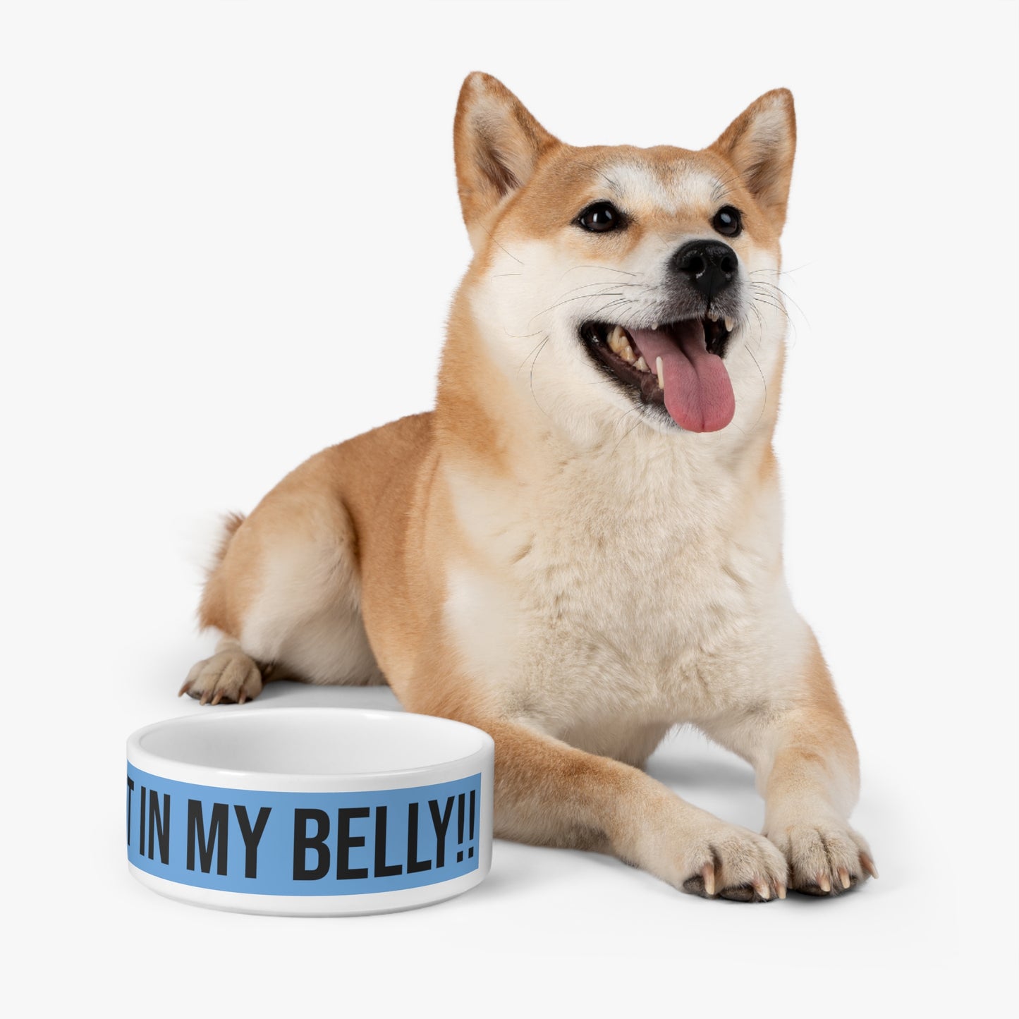 DCAL Paws and Posh "Feed My Belly!" Pet Bowl